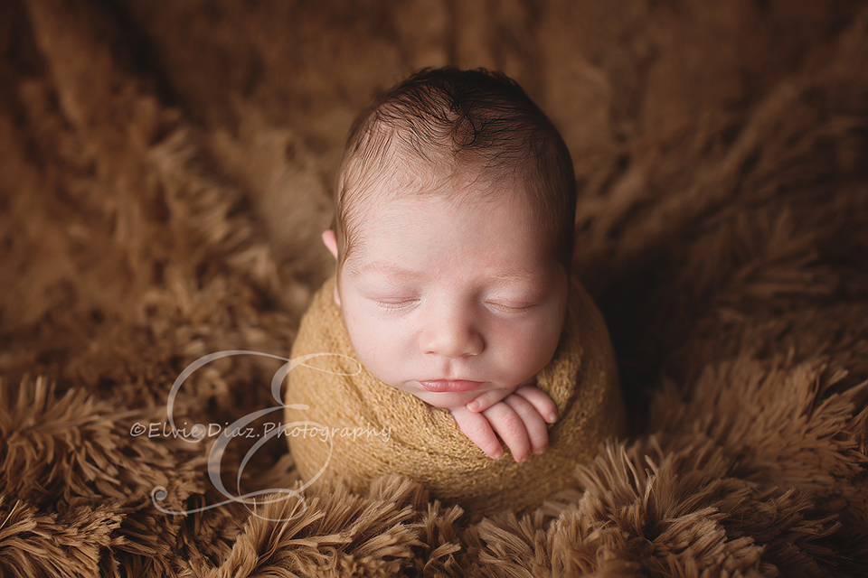 ElvieDiazPhotography-Chicago-Newborn-Photographer-potato-sack-brown-fur-pose-