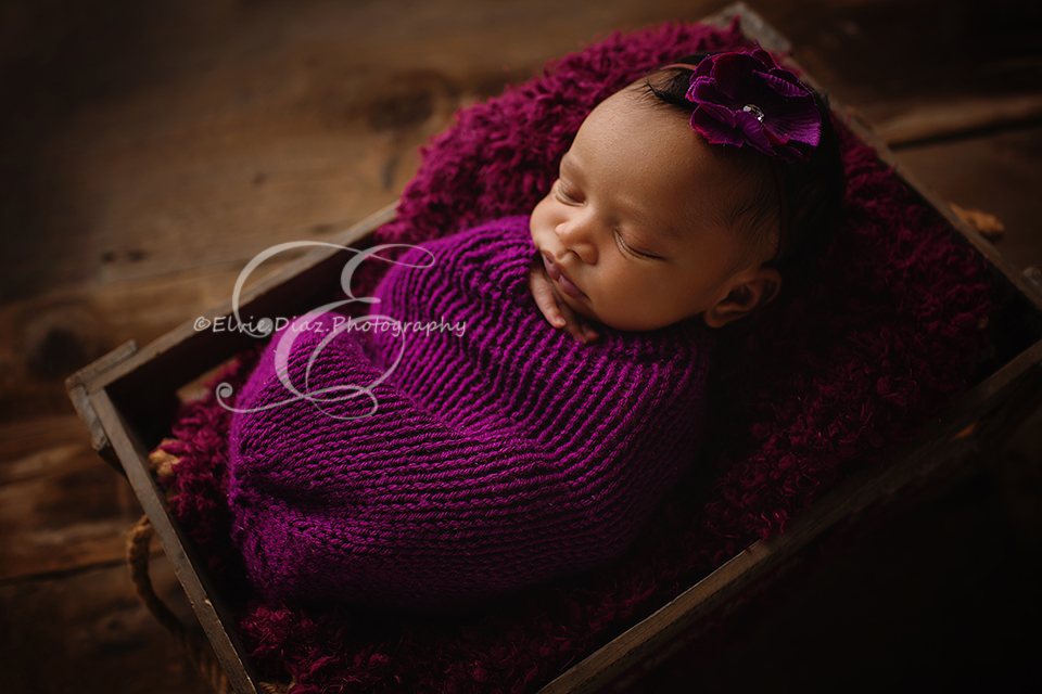 chicago-newborn-photographer-elvie-girl-wrapped-baby-purple-prince