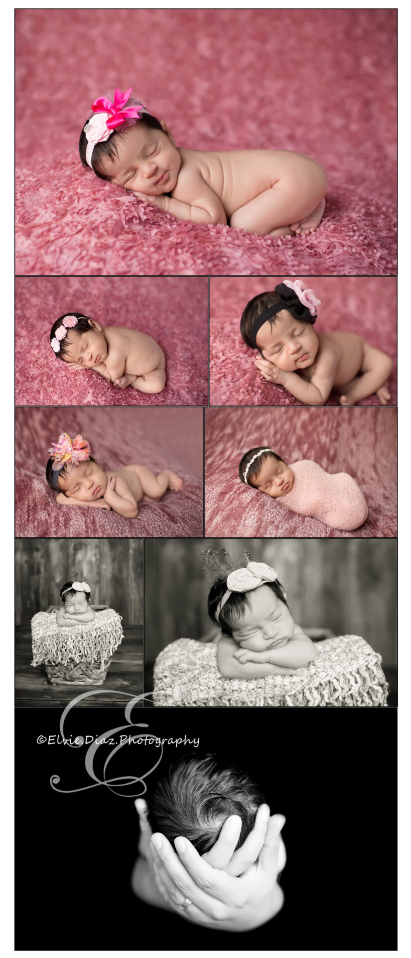 Sweet Anabella so sweeet!(Chicago Newborn Photographer)
