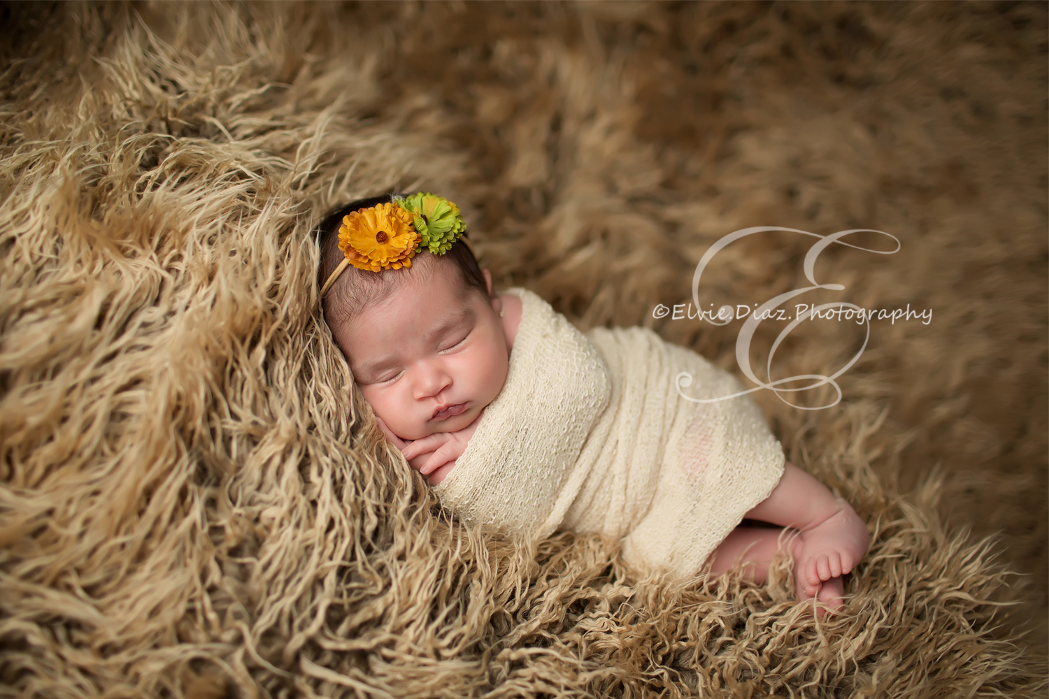 Sweet Giselle(Chicago Newborn Photographer)