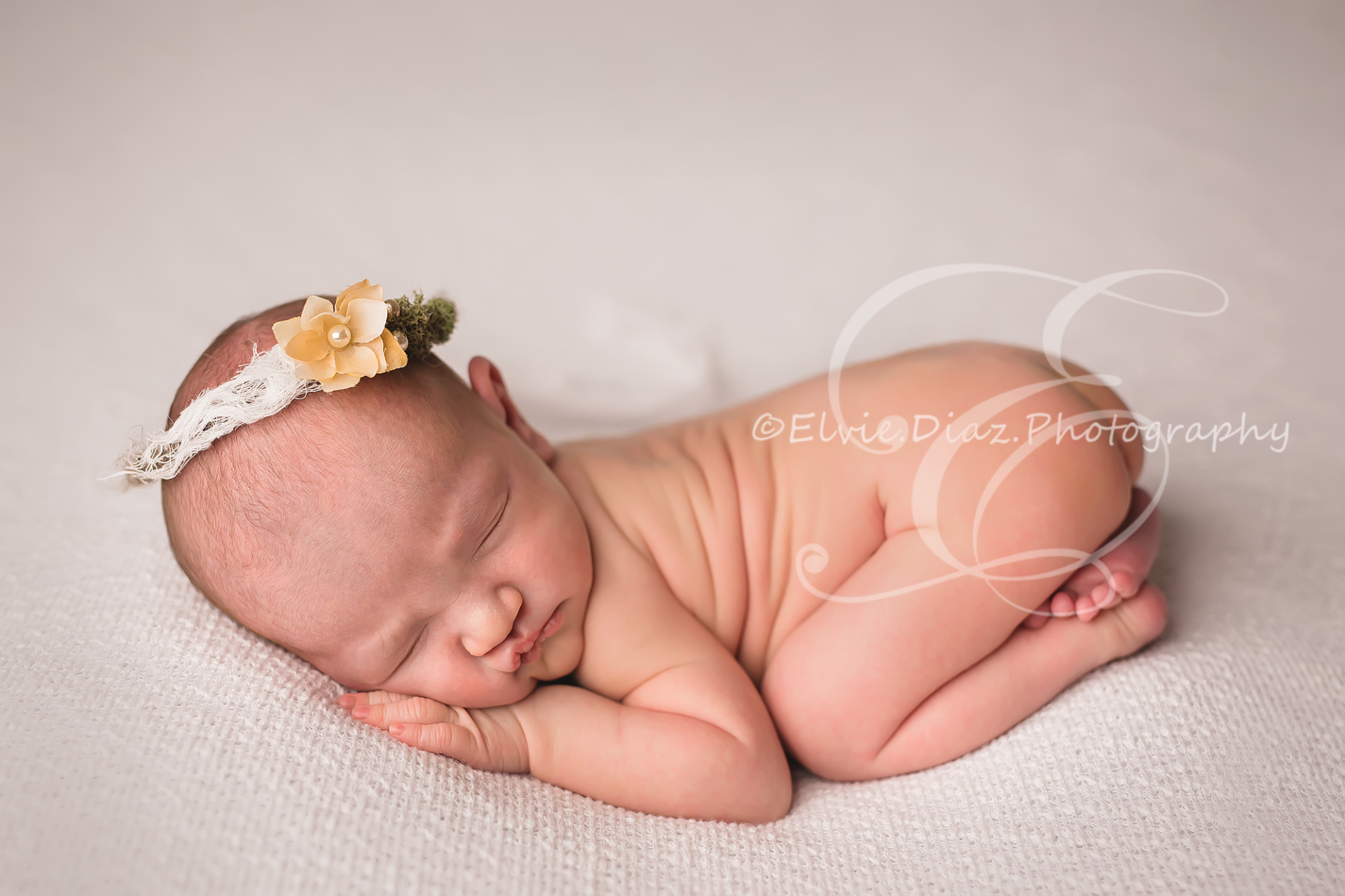 Alexa stopped by today…(Chicago NEwborn Photographer)