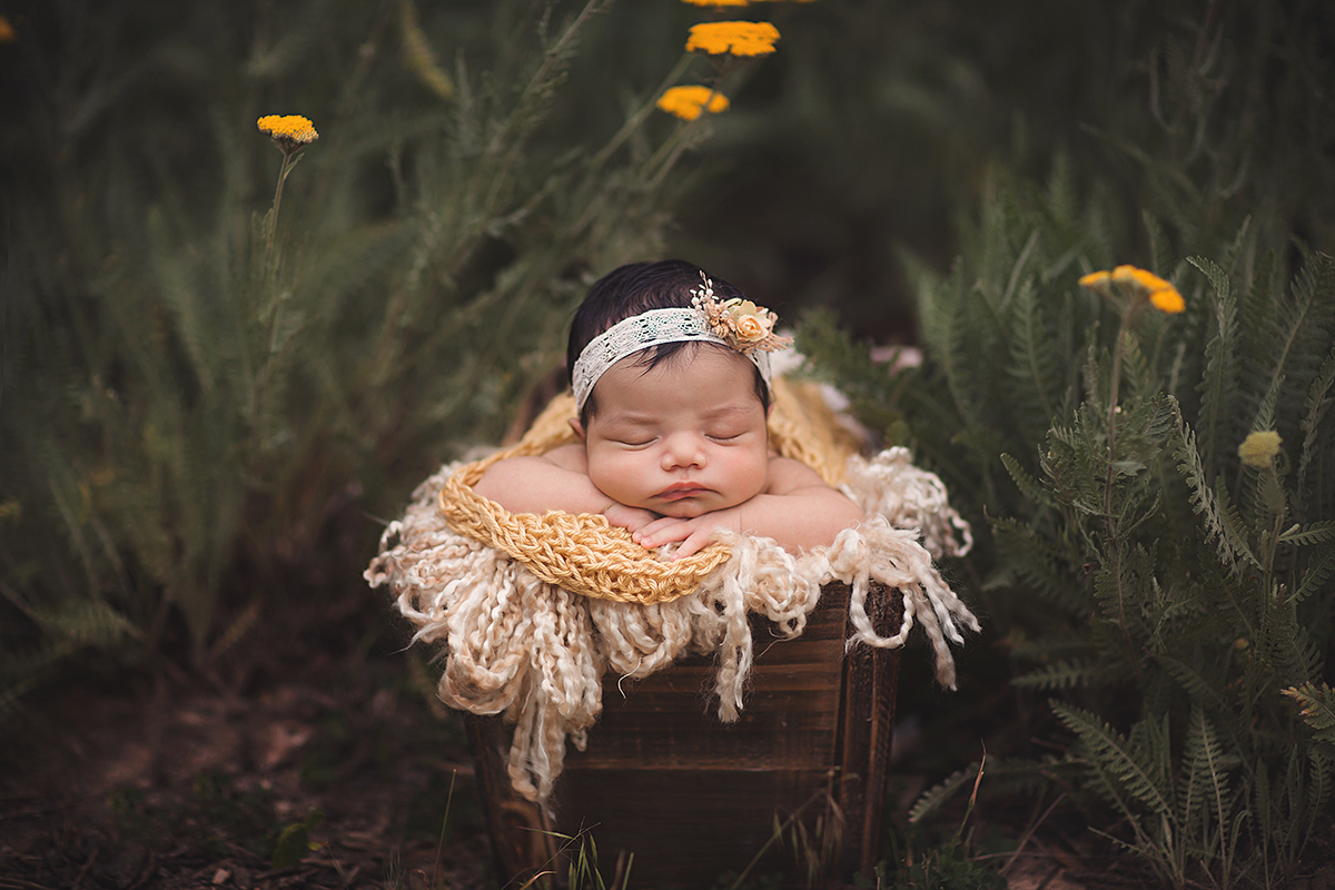 Pure Outside Sweetness (Chicago Newborn Photographer)