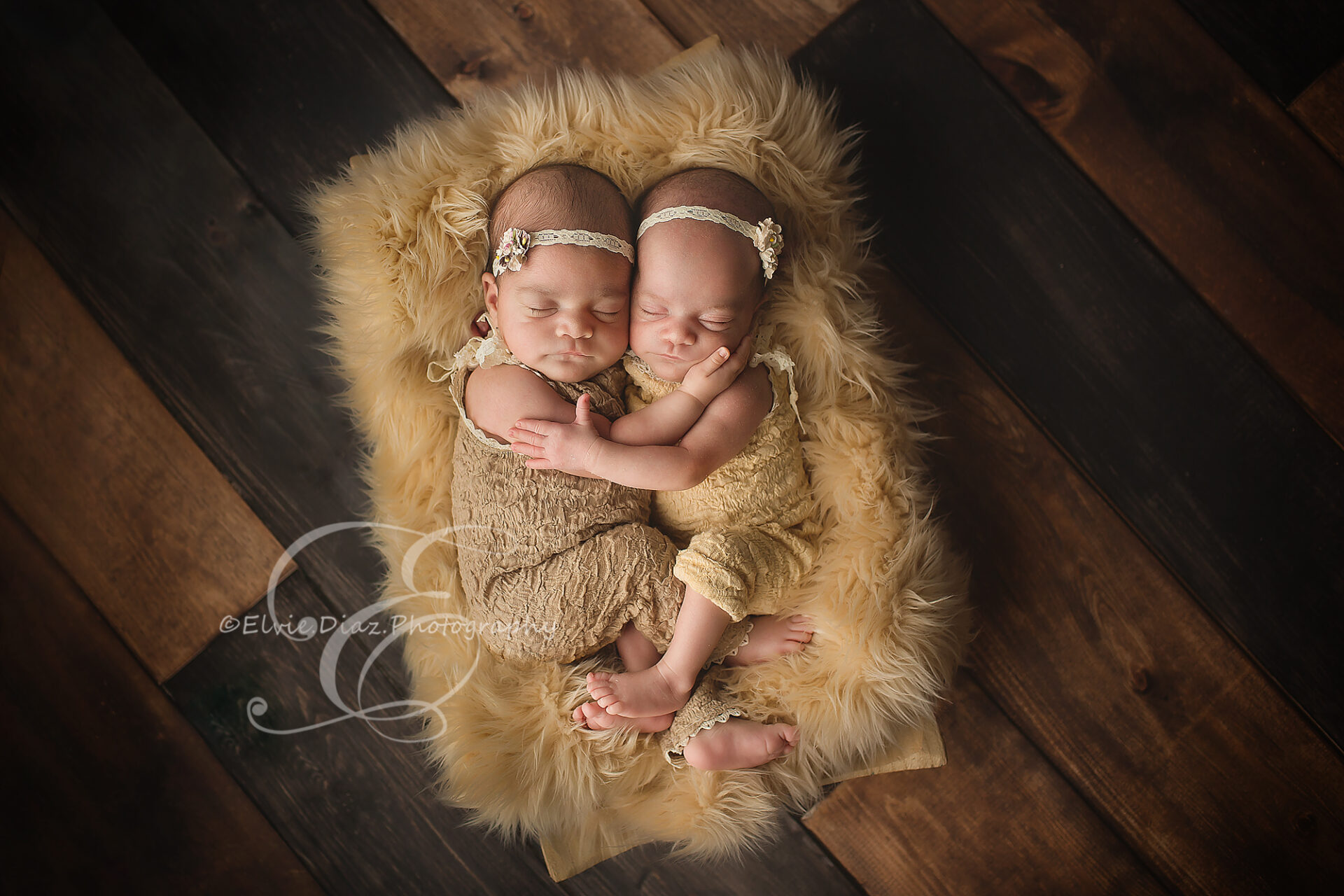 elviediazphotography-chicago-newborn-photographer-twin-girls-golden-fur