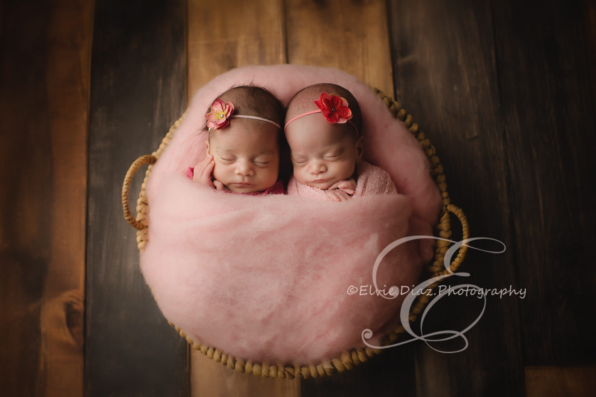 ElvieDiazPhotography-Chicago-newborn-photographer-twin-girls-pink-fluffy-cloud