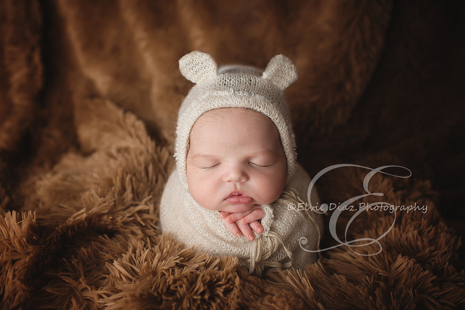 Elvie-Diaz-Photography-Chicago-Newborn-Photographer-bear-sack-brown-pose-
