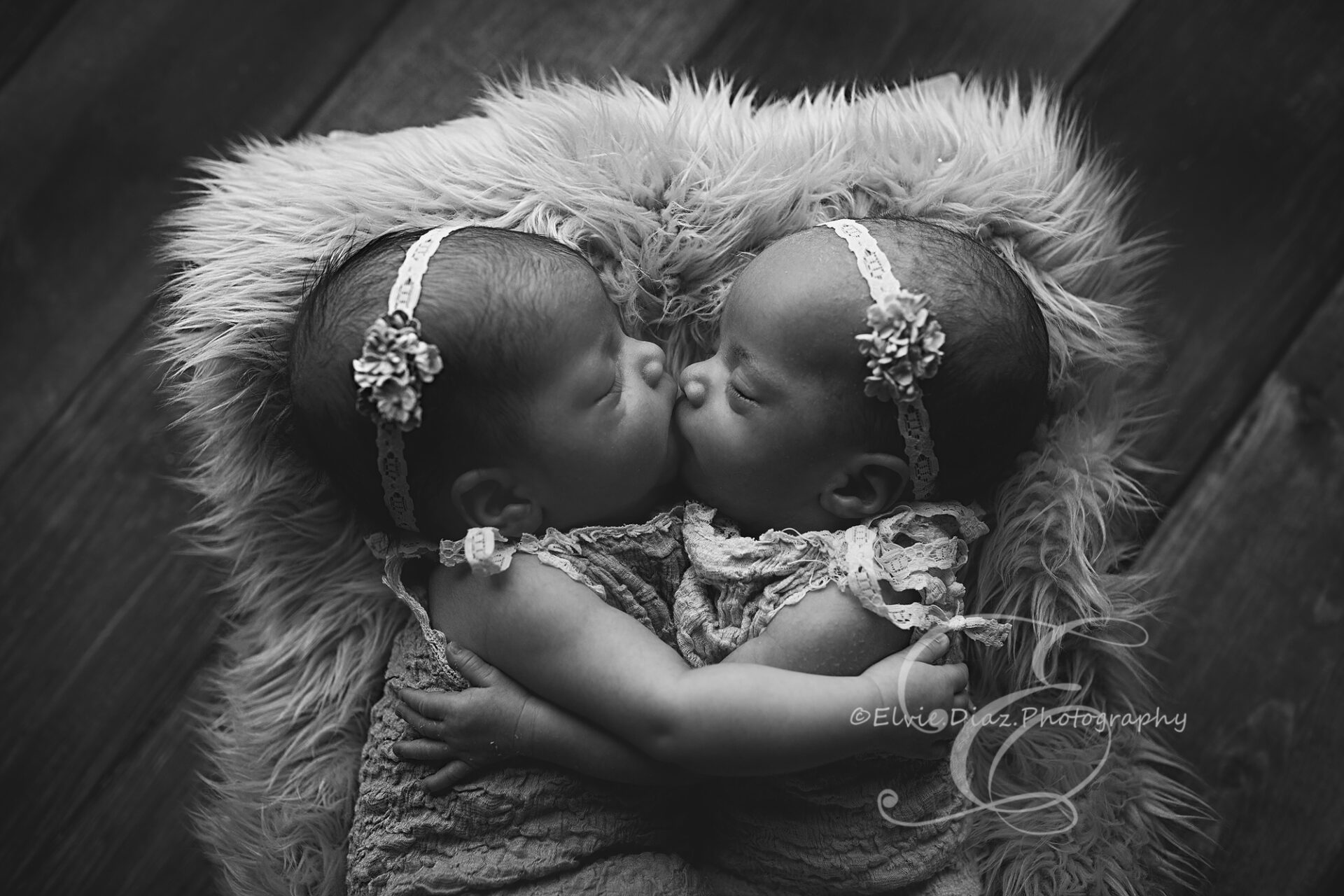 ElvieDiazPhotography-Chicago-Newborn-Photographer-Twin-Girls-bucket-posing-black-and-white-twin-sisters-kissing