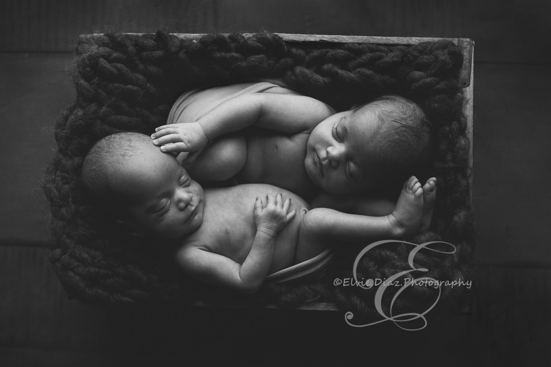 ElvieDiazPhotography-Chicago-Newborn-Photographer-Twin-Girls-bucket-posing-black-and-white-abstract-photography-art