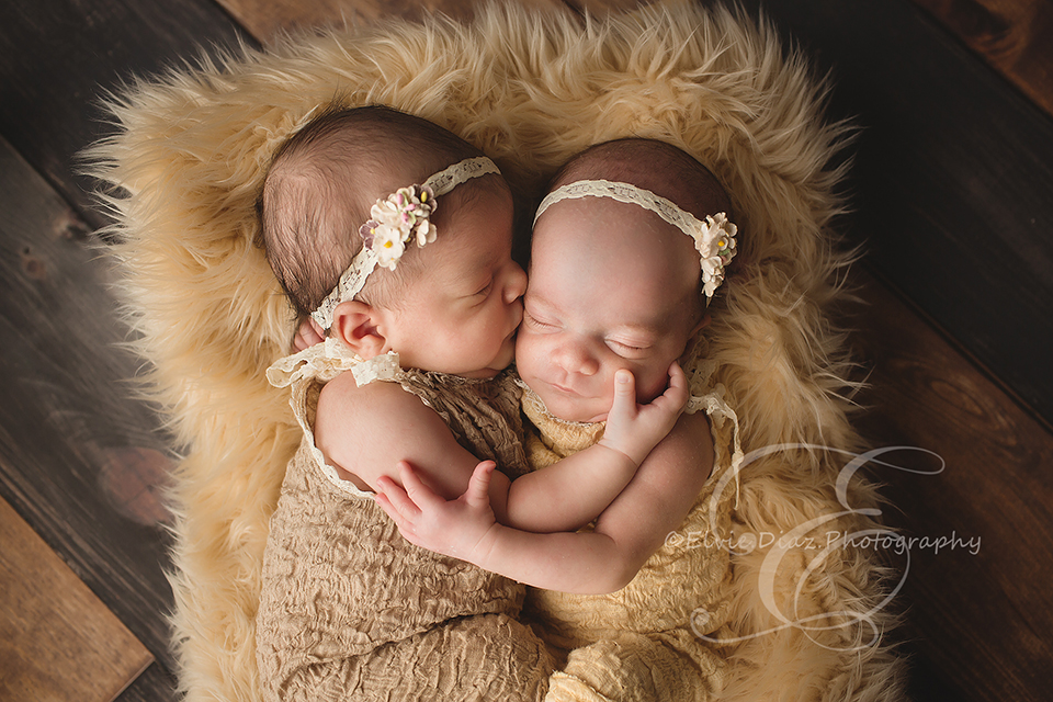 ElvieDiazPhotography-Chicago-Newborn-Photographer-Twin-Girls-kissing-softfur-wood-