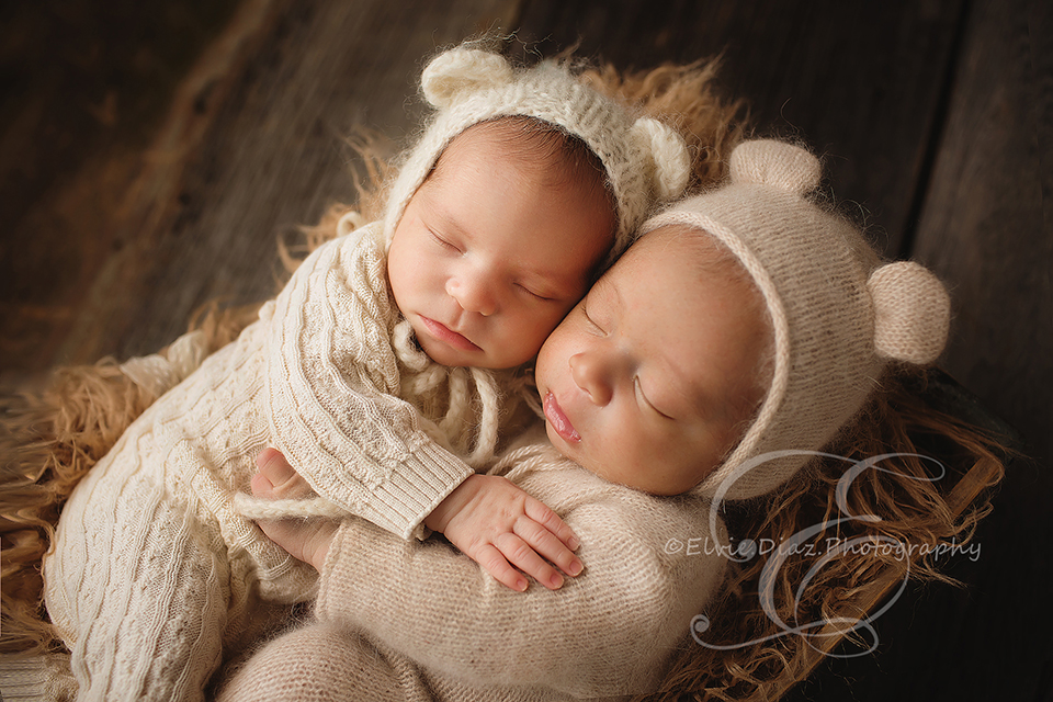 Elvie.Diaz.Photography.Chicago.Newborn.Photographer.Twin-bucket-posing-boy-cousins-newborn-brownfur-wood-girl-hugs