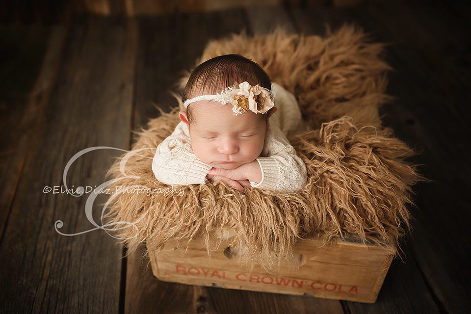 Elvie.Diaz.Photography.Chicago.Newborn.Photographer.Twin-bucket-posing-girl-cousins-newborn-brownfur-wood-crate