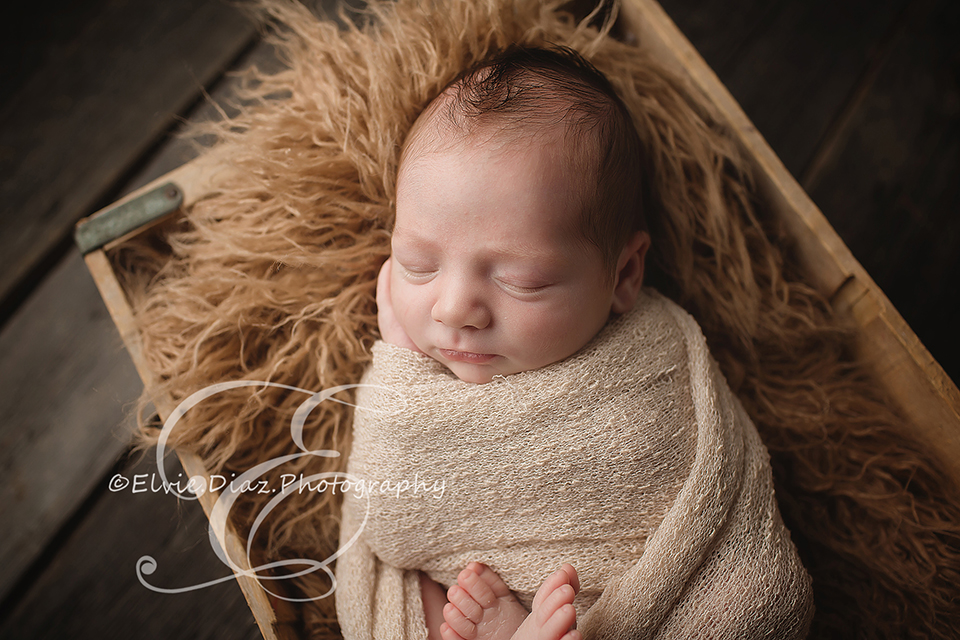 ElvieDiazPhotography-Chicago-Newborn-Photographer-bucket-woodfloor-brown-cream-wrapped-bucketpose-fur