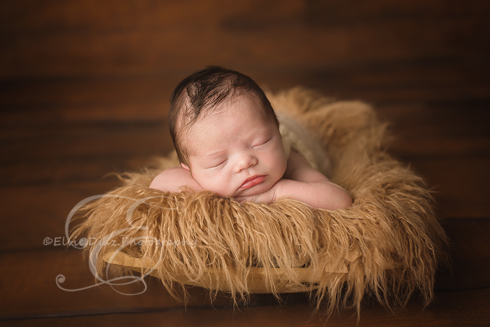 Chicago-Newborn-Photographer-Elvie-boy-brown-bucket