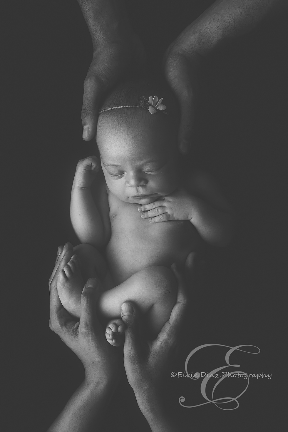 Chicago-Newborn-Photographer-Elvie-girl-blackandwhite-hands-daddy-mommy-world