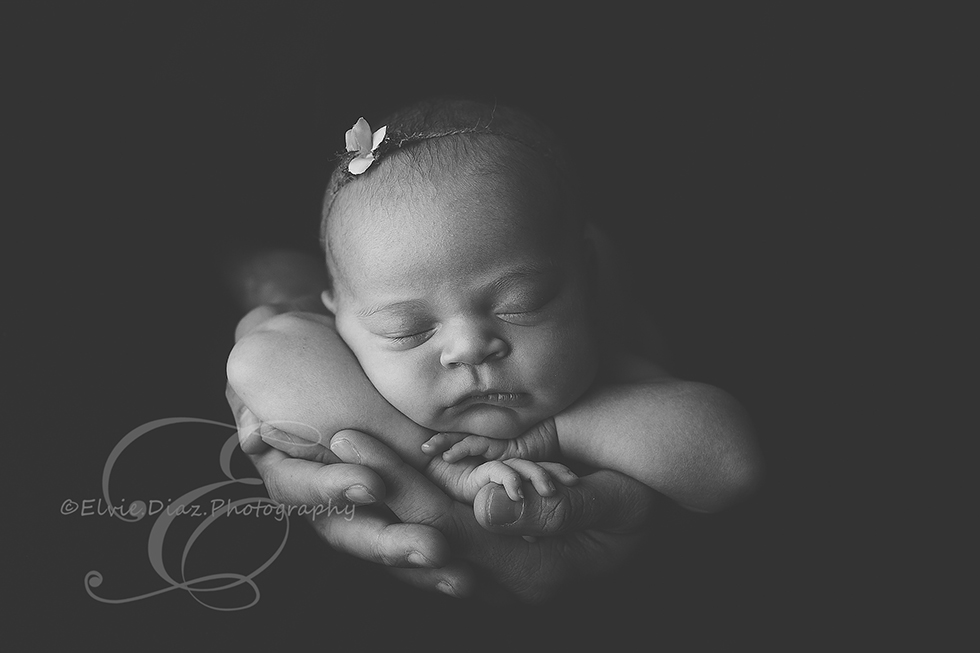 Chicago-Newborn-Photographer-Elvie-girl-blackandwhite-hands-daddy