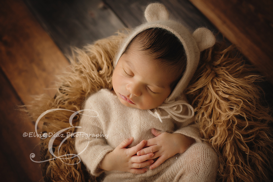 Chicago-Newborn-Photographer-Elvie-Diaz-bear