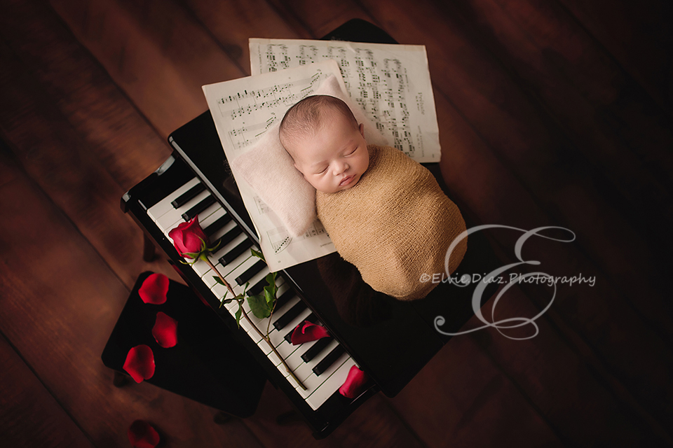 chicago-newborn-photographer-elvie-baby-boy-piano-rose