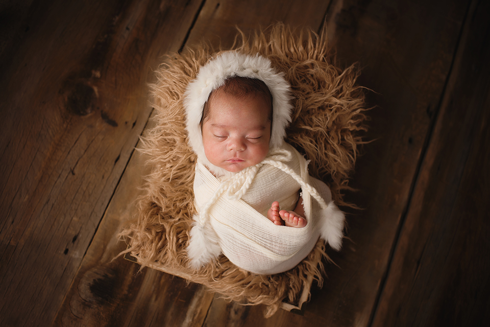 chicago-newborn-photographer-elvie-boy-macro-preemie