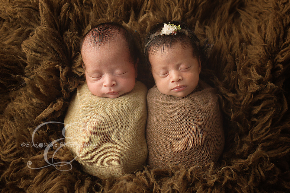 chicago-newborn-photographer-elvie-girl-boy-fraternal-twins
