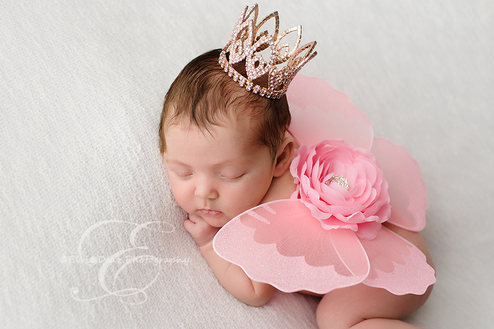 chicago-newborn-photographer-elvie-girl-pink-butterflies