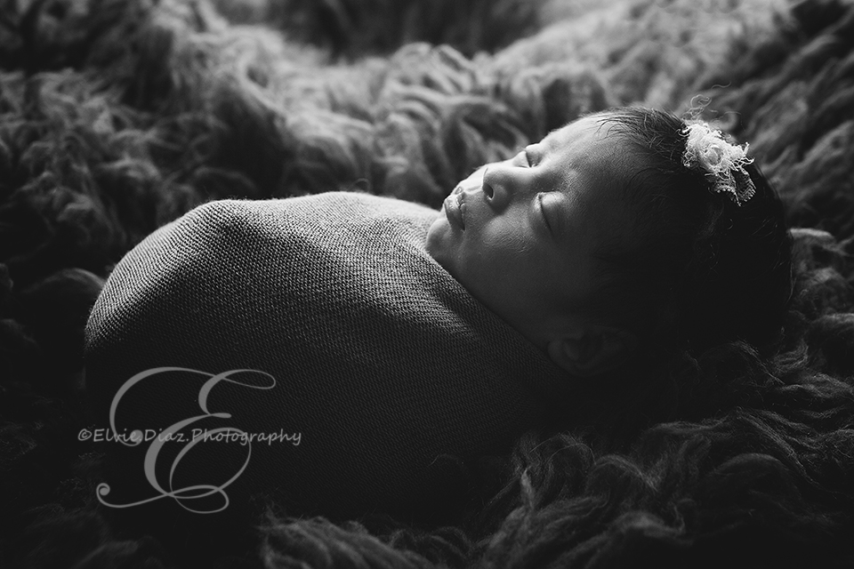 chicago-newborn-photographer-elvie-girl-twin-wrapped