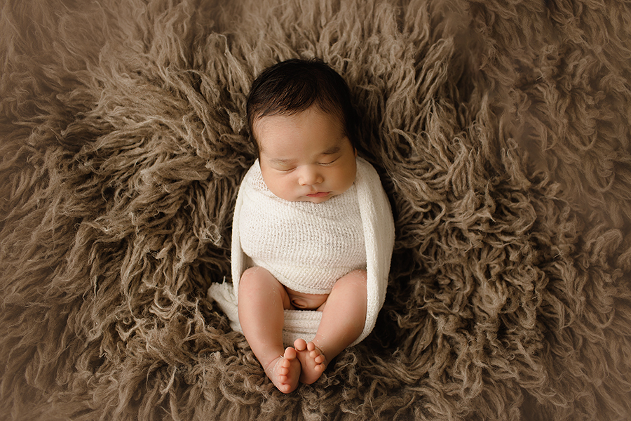 chicago-newborn-photographer-elvie-girl-wrapped-baby-birdseyeview