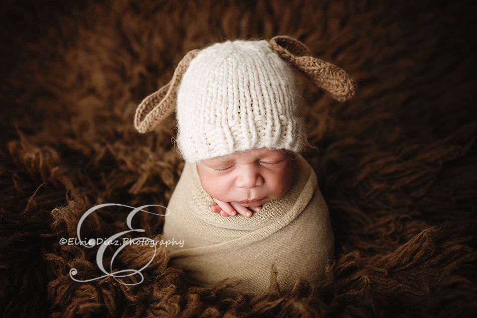 Chicago Newborn Photographer introducing little baby Edgar