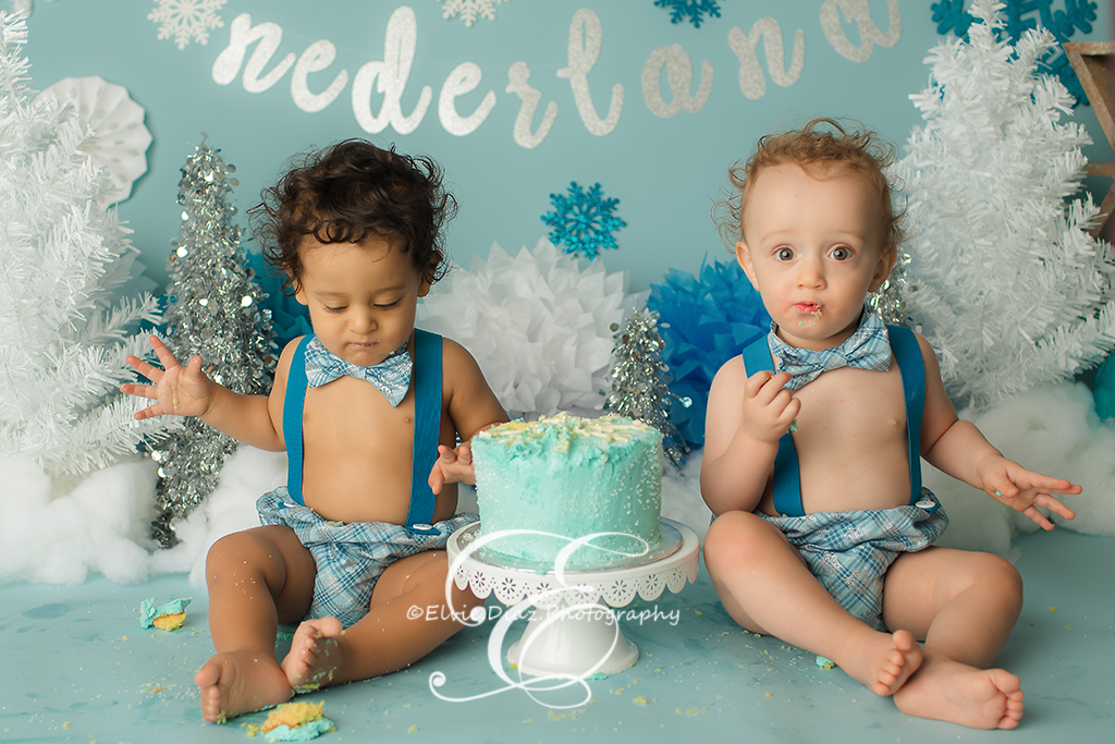 The twins turn 1! (Chicago Newborn photographer)