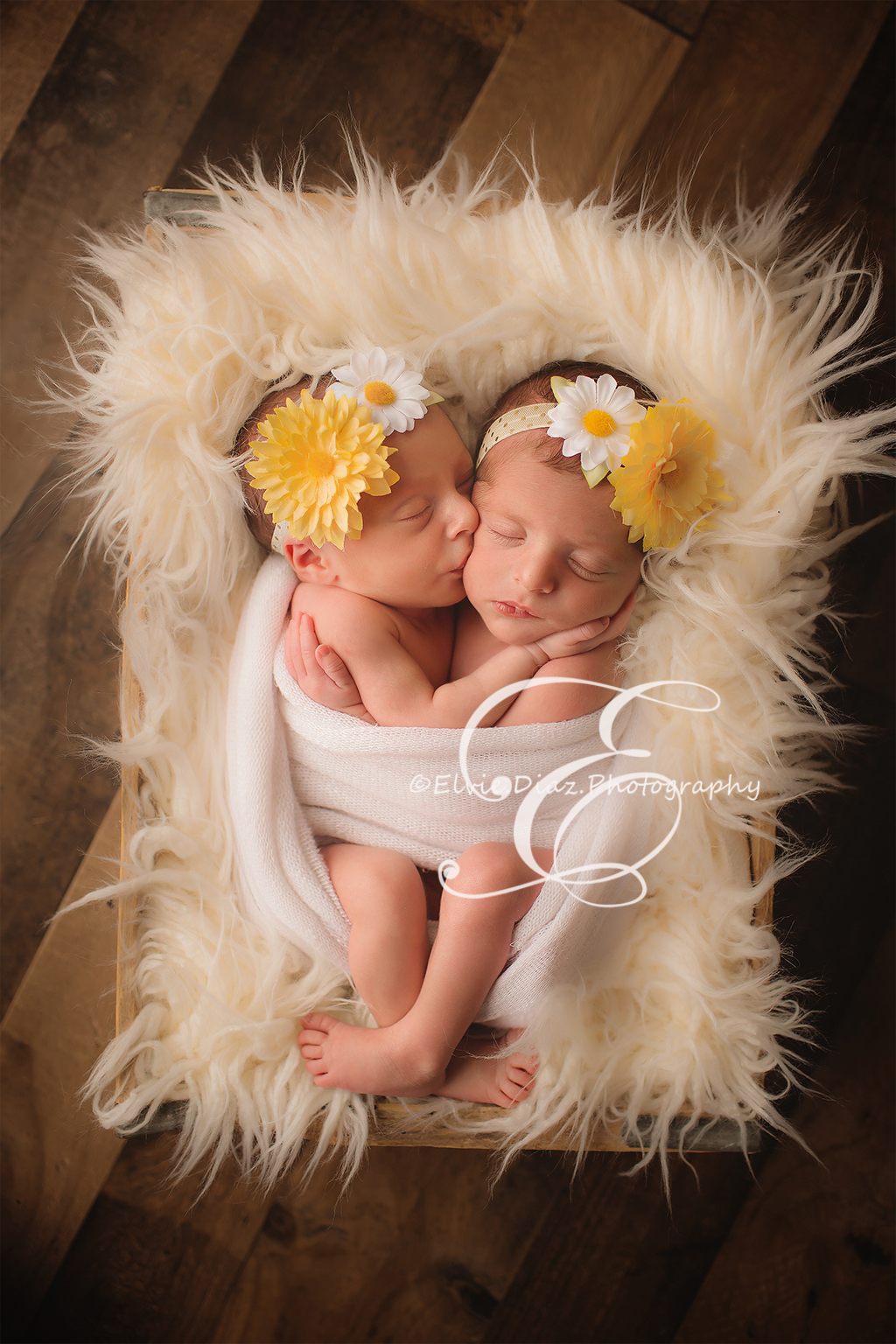 Cuteness Overload times 2 (Chicago Twin Newborn Photographer)