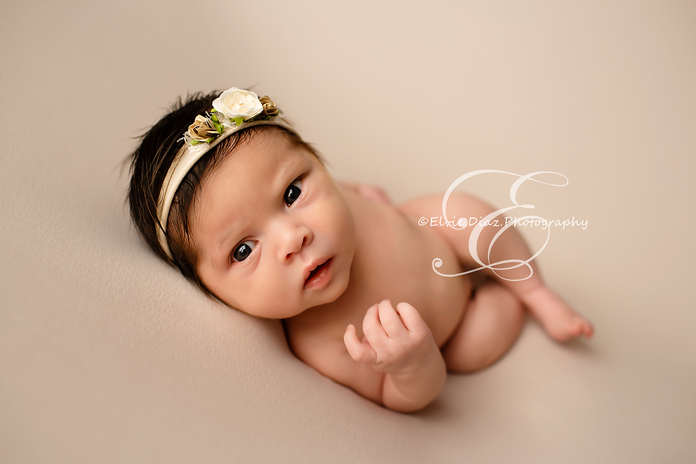 Penelope (Chicago Newborn Photographer)