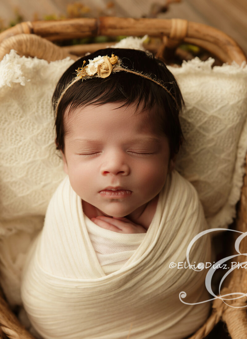 Baby Gigi Chicago Newborn Photographer