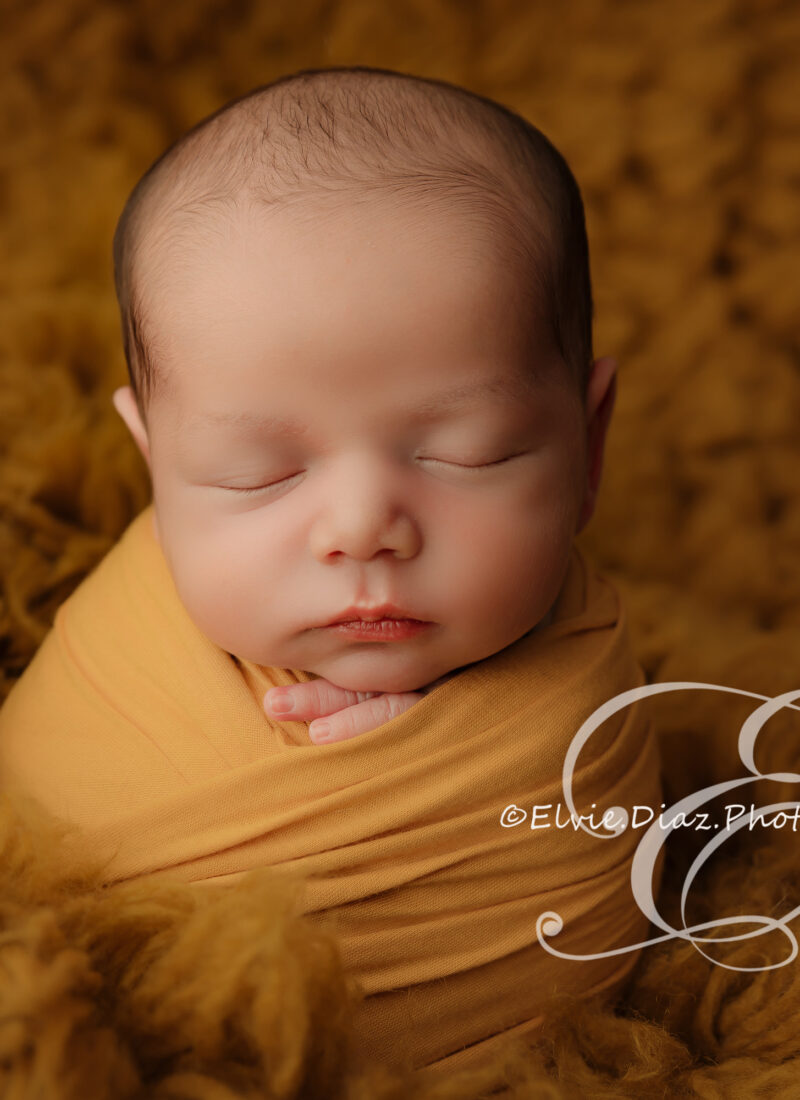 Beautiful Boy(Chicago Newborn Photography)