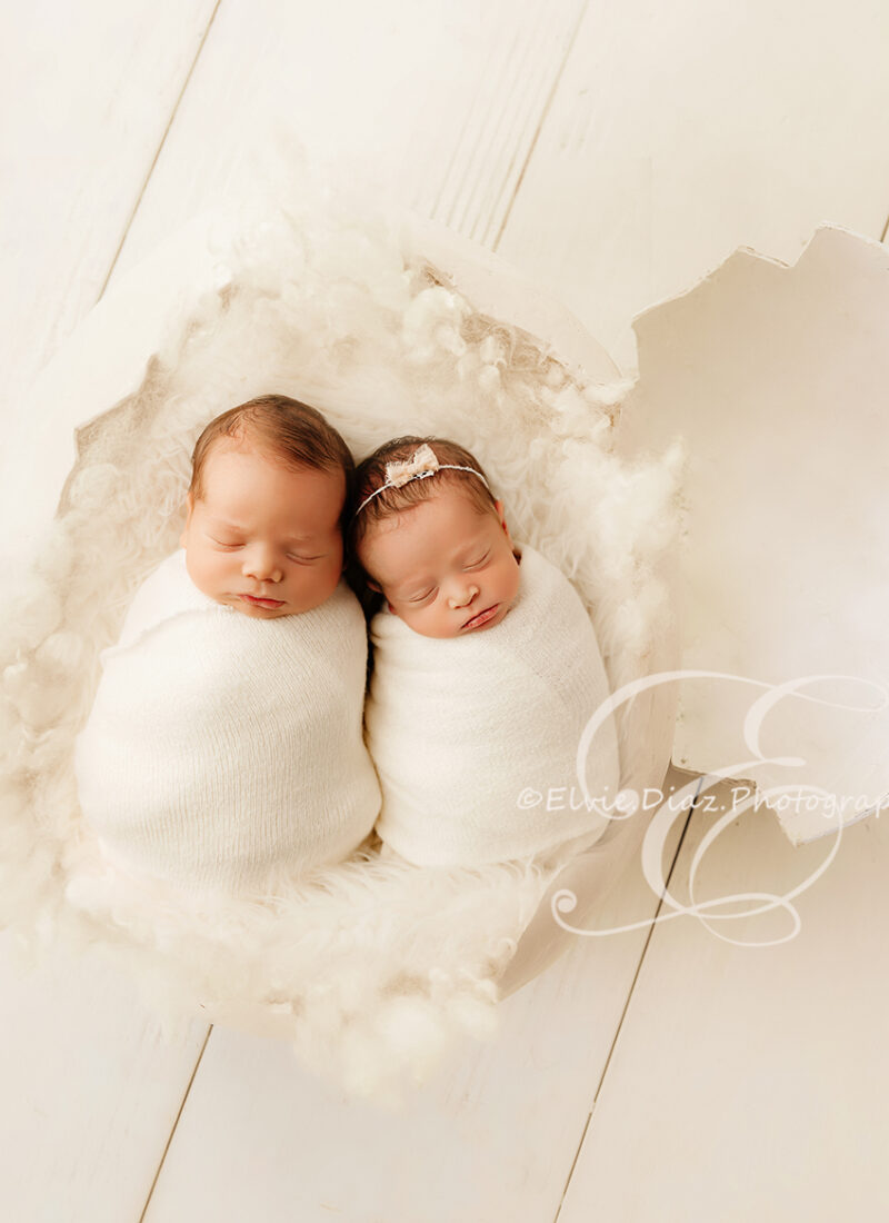 Twins! (Chicago Newborn Photographer)